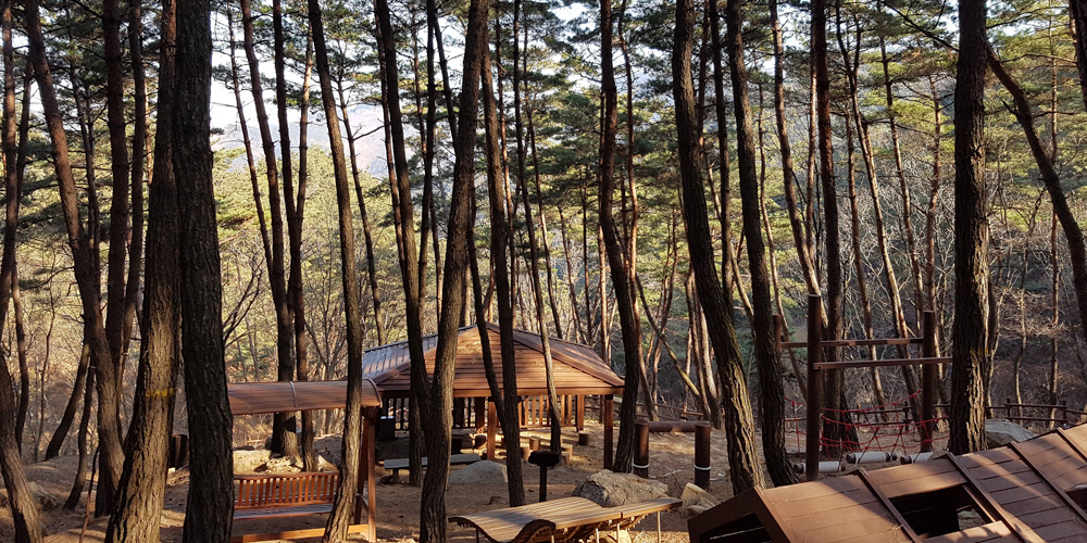 유아숲체험원 사진