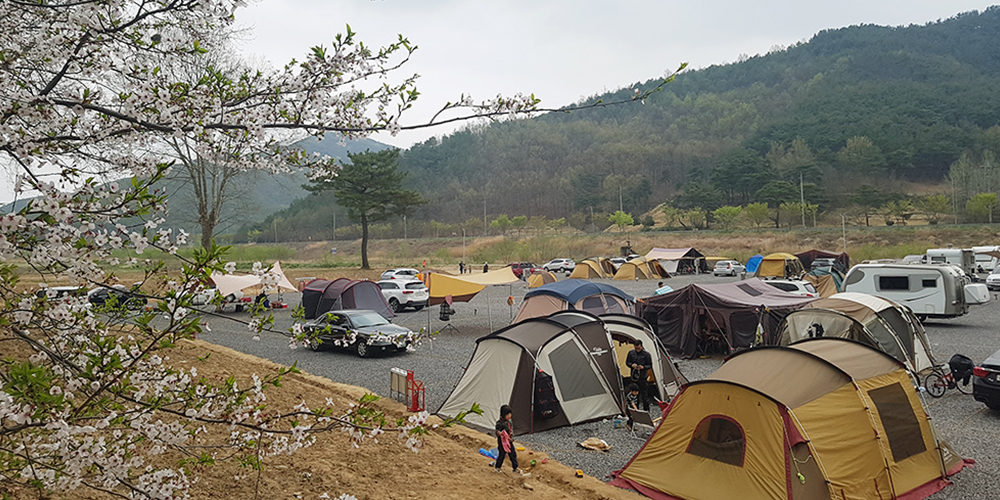 강변오토캠핑장 전경사진3